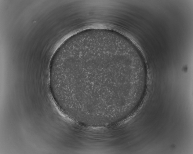 X0000116760837201001071153