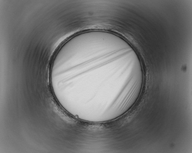 X0000116760838201001071153