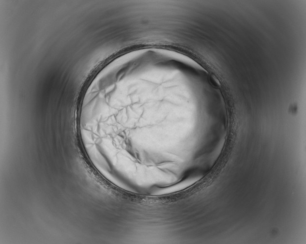 X0000116760840201001071153