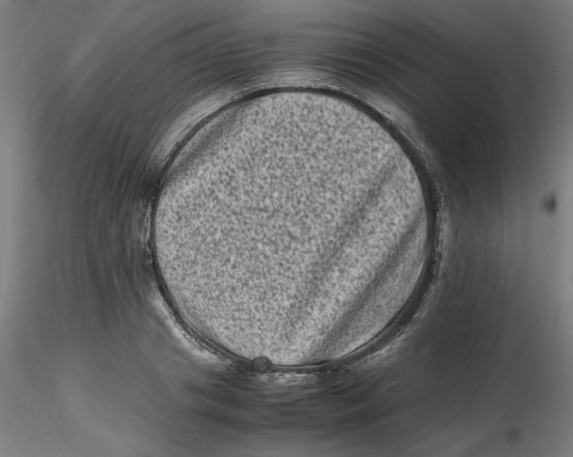 X0000116760841201001071153