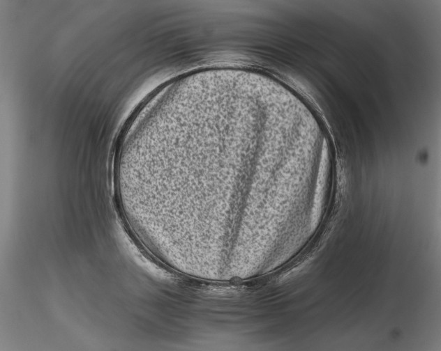 X0000116760843201001071153