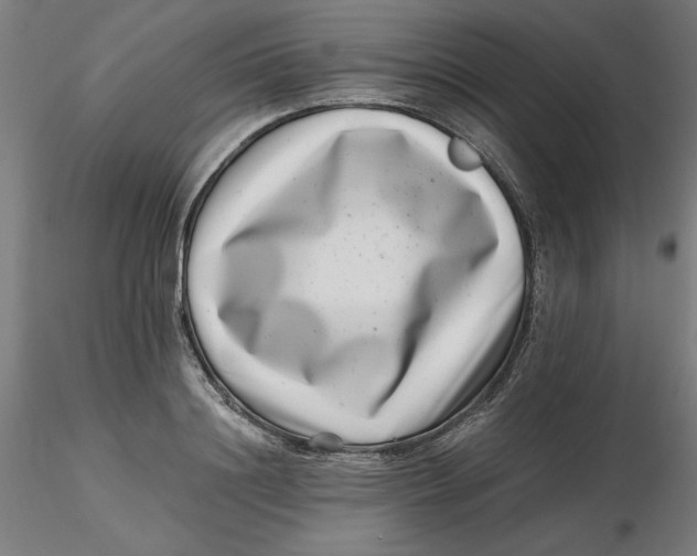 X0000116760844201001071153