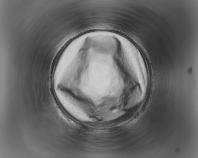 X0000116760845201001071153