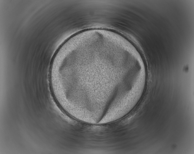 X0000116760847201001071153