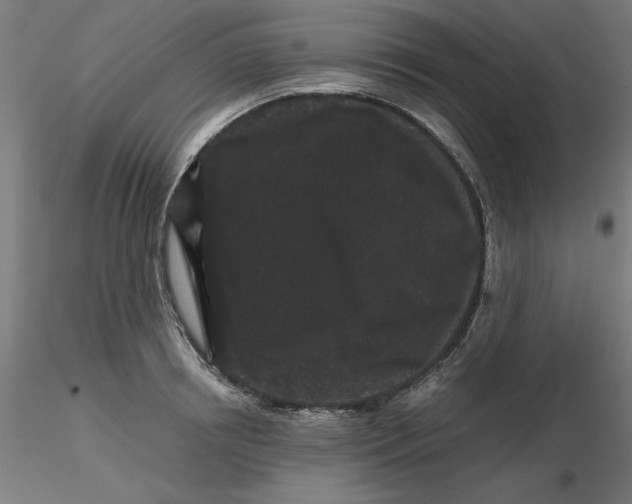 X0000116760850201001071154