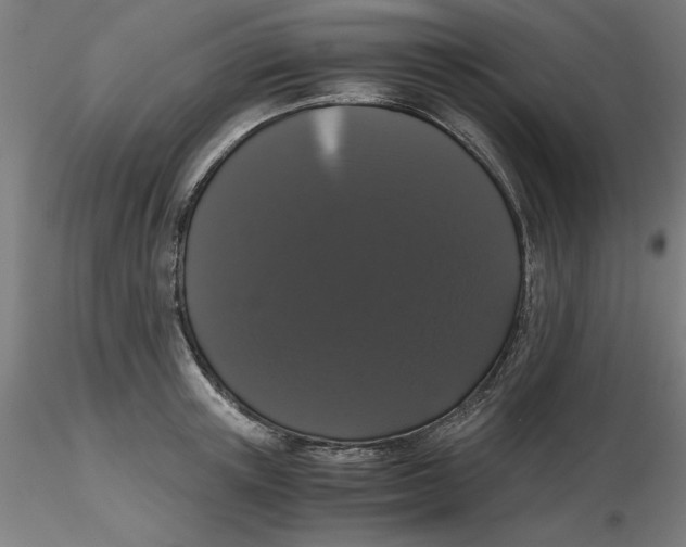 X0000116760851201001071154