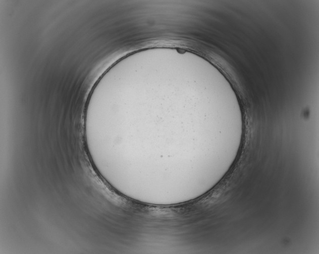 X0000116760852201001071154