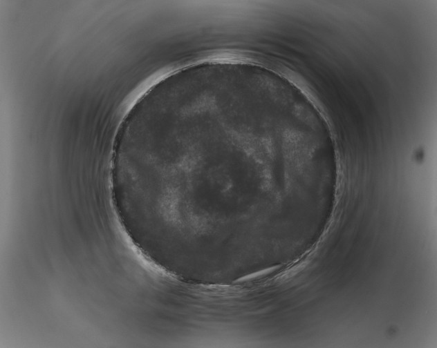 X0000116760853201001071154