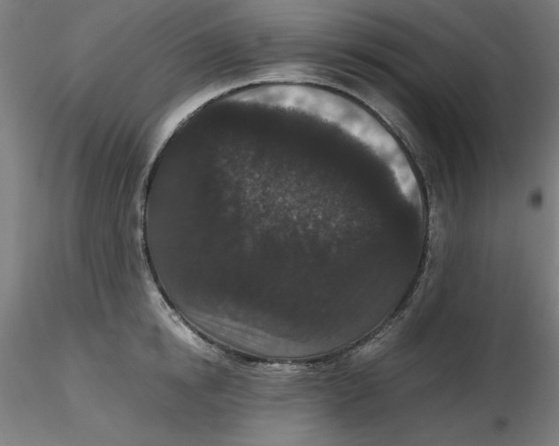 X0000116760854201001071154