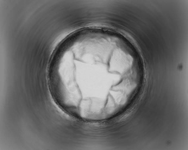 X0000116760855201001071154