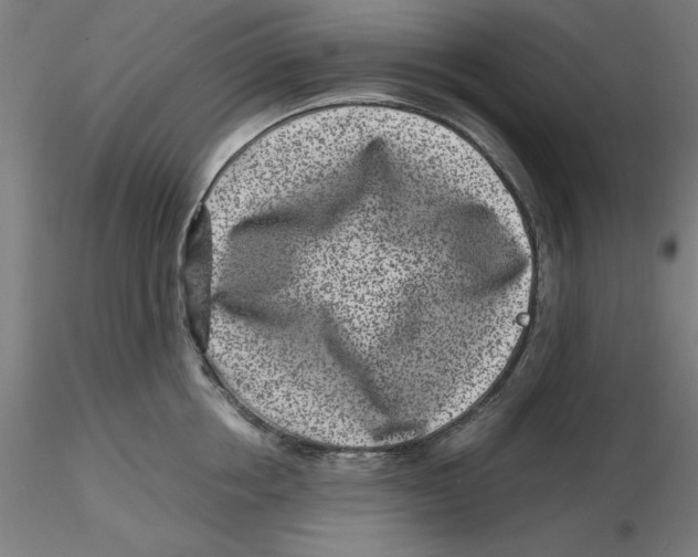 X0000116760858201001071154