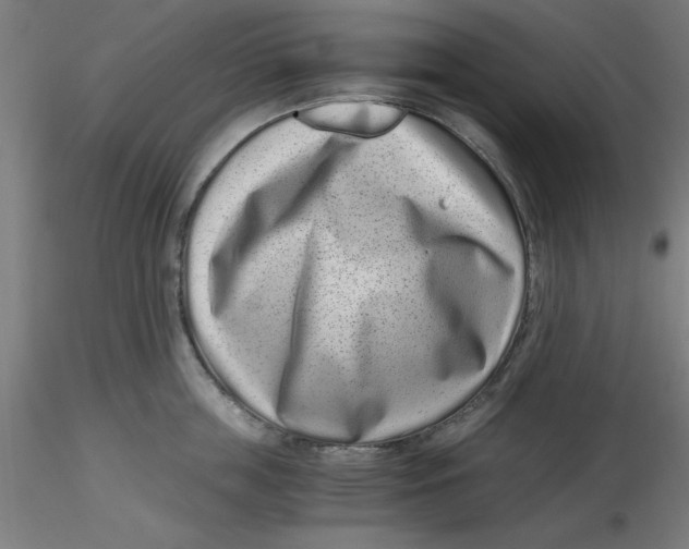 X0000116760859201001071154