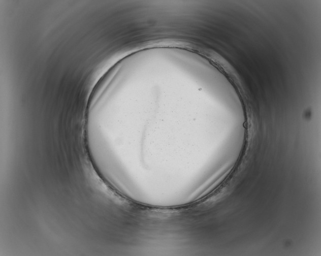 X0000116760860201001071154