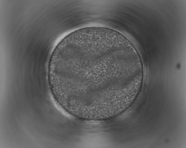 X0000116760862201001071154