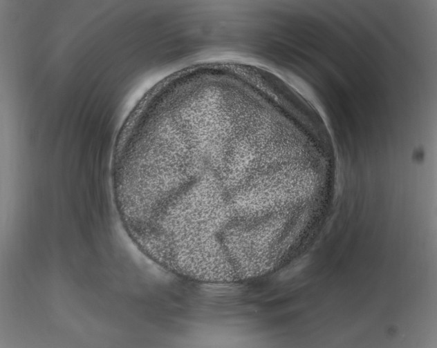 X0000116760863201001071154