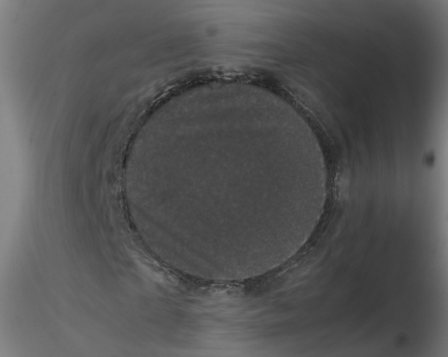 X0000116760865201001071153