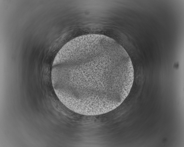 X0000116760866201001071153