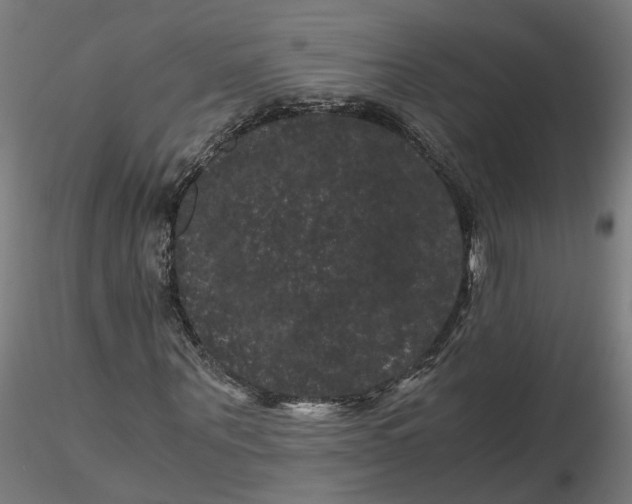 X0000116760867201001071153