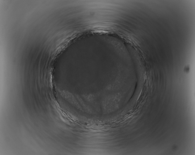 X0000116760868201001071153