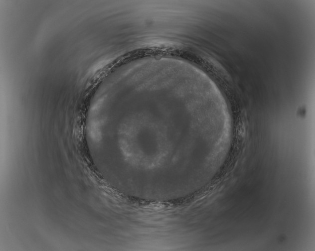 X0000116760869201001071153