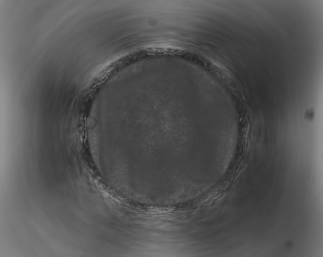 X0000116760870201001071153