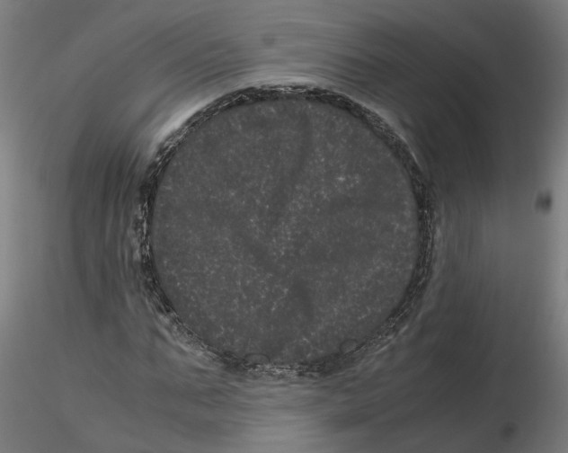 X0000116760871201001071153