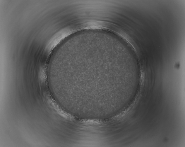 X0000116760874201001071153