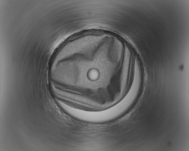 X0000116760877201001071153