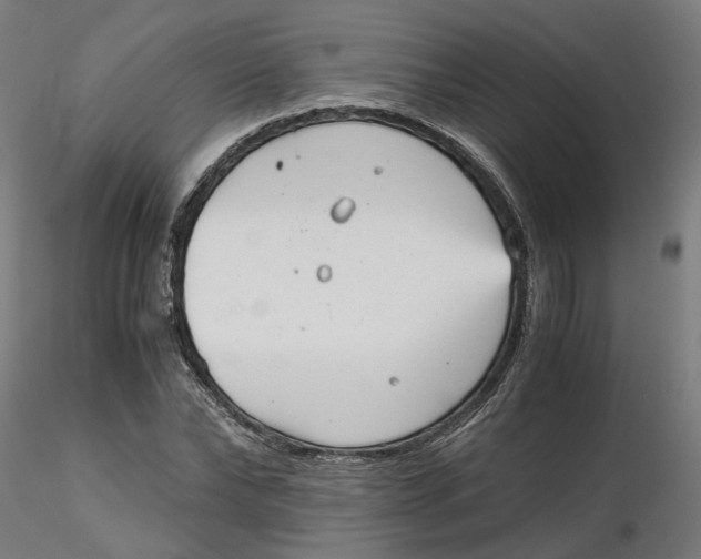 X0000116760878201001071153