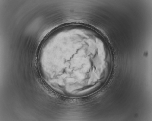 X0000116760879201001071153