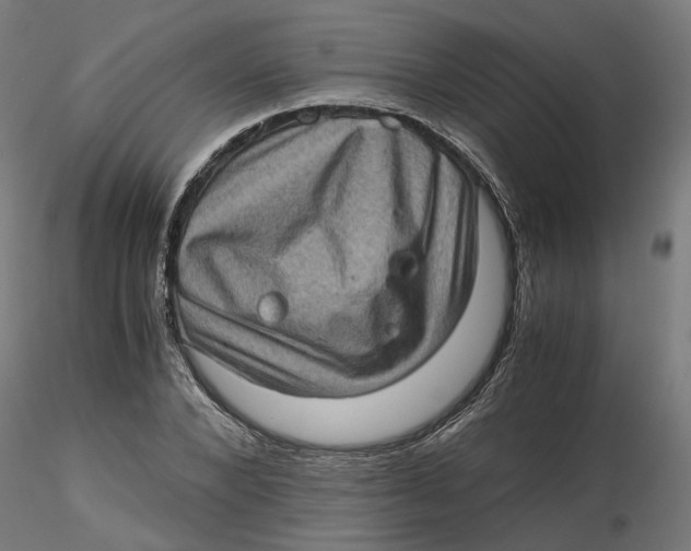 X0000116760880201001071153