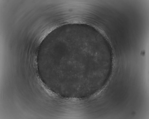 X0000116760881201001071153