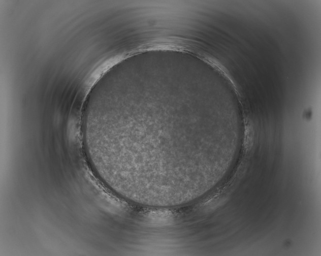 X0000116760882201001071153