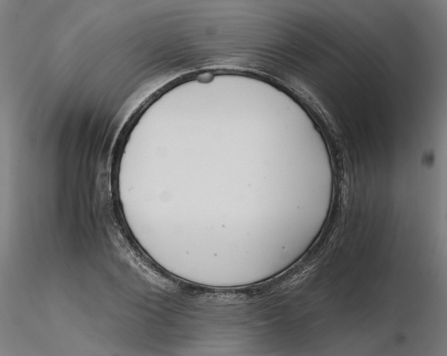 X0000116760884201001071153