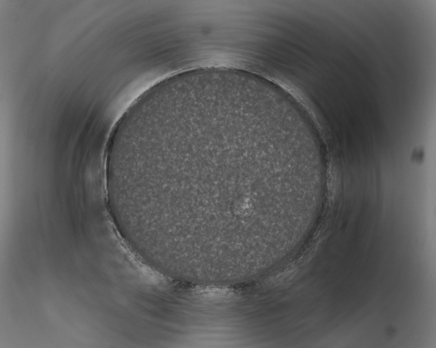 X0000116760886201001071153