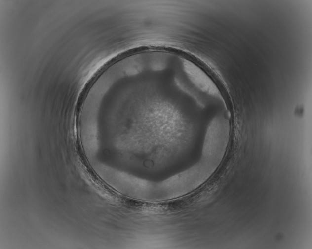 X0000116760887201001071153