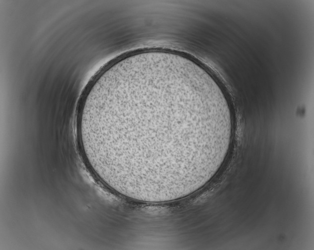 X0000116760888201001071153