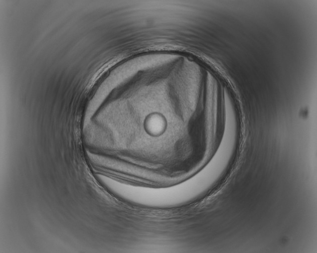 X0000116760889201001071153