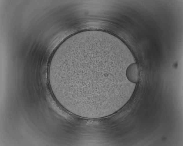 X0000116760890201001071153