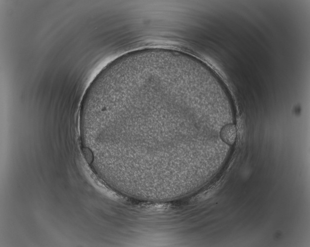 X0000116760891201001071153