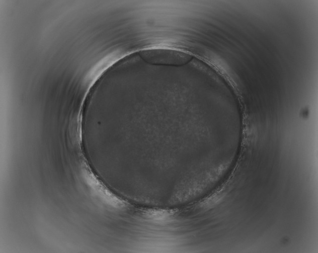 X0000116760892201001071153