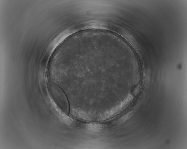 X0000116760893201001071153