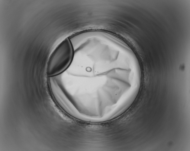 X0000116760894201001071153