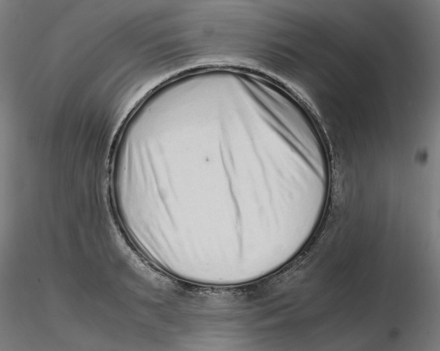 X0000116760895201001071153