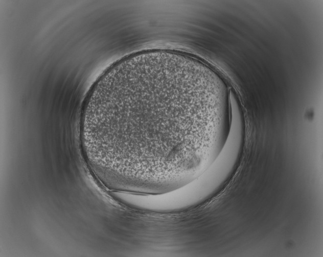 X0000116760896201001071153