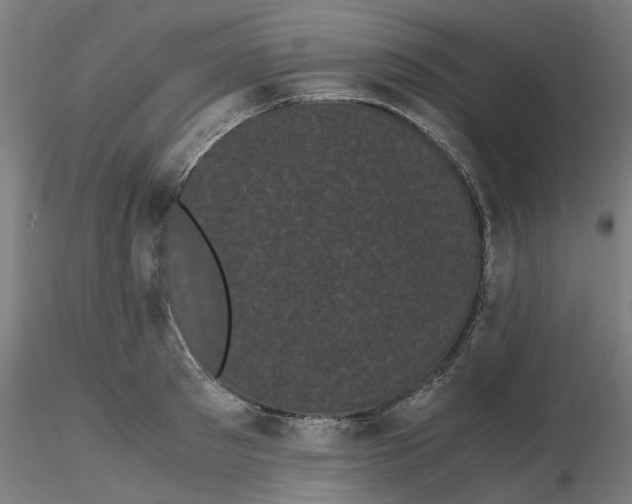 X0000116760897201001071153