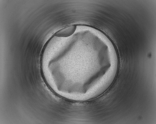 X0000116760898201001071153