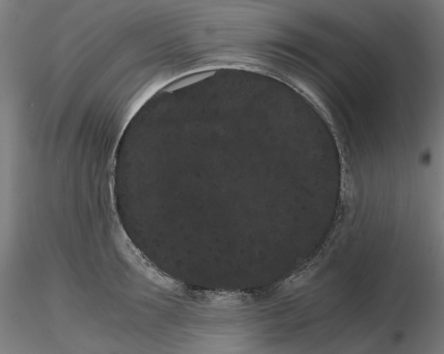 X0000116760899201001071153