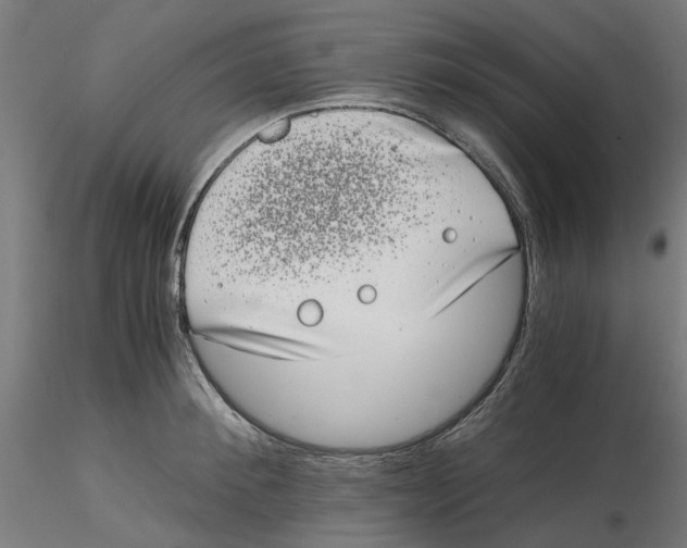 X0000116760900201001071153