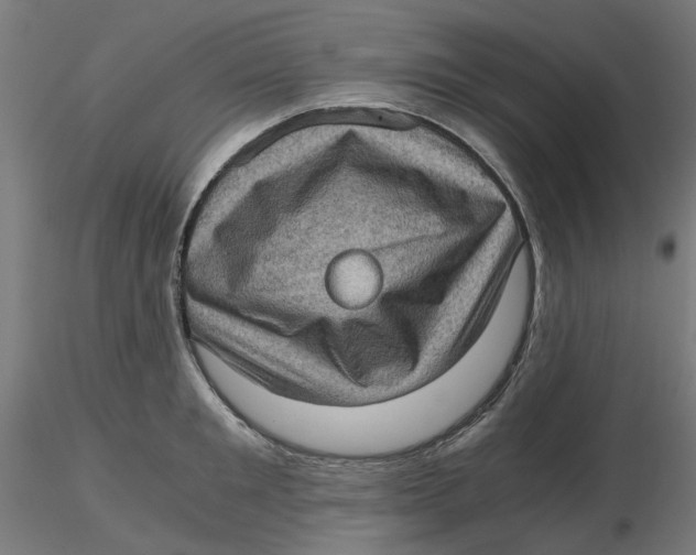 X0000116760901201001071153